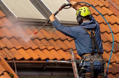 Démoussage et hydrofuge de toiture à Lhoumois